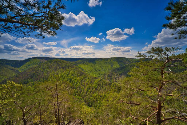 青空の下で山の上に緑のテューリンゲンの森と風光明媚な風景 - 写真・画像