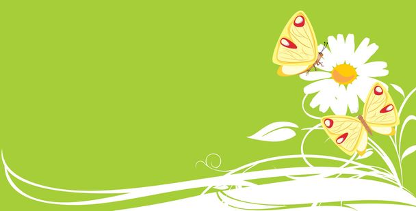 Chamomile and butterflies. Decorative banner - Wektor, obraz