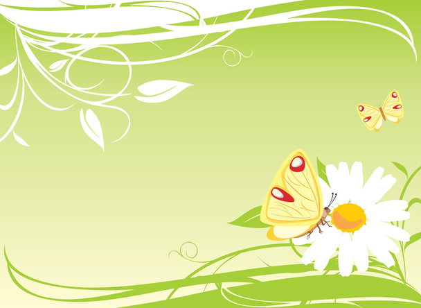Chamomile and butterflies on the floral background - Vetor, Imagem