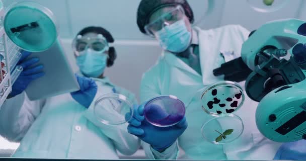 Scientists doing an experiment and making a medical breakthrough in lab from below. Analysing liquid biochemicals and developing cure while documenting process online in a science research facility. - Materiaali, video