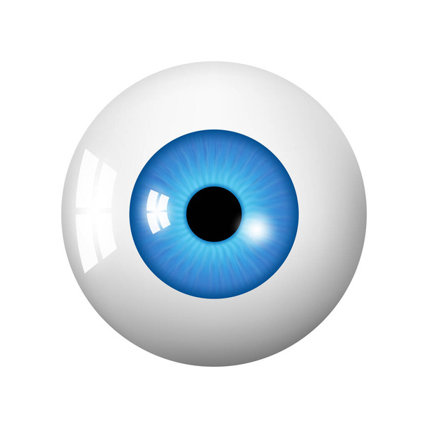 İnsan gözü. Parlak mavi gözlü, göz küresinin resmi. Beyaz arkaplanda izole edilmiş gerçekçi 3d vektör çizimi - Fotoğraf, Görsel