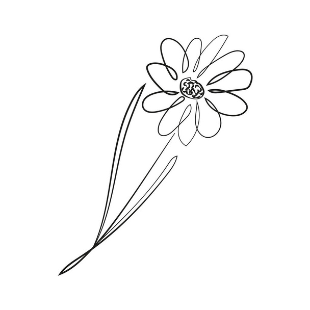 ikona kwiatów. zarys ilustracji wektora kwiatów. odizolowany rysunek konturu - Wektor, obraz