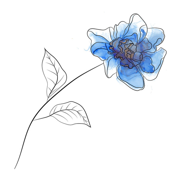 schöne botanische Blumenmuster. Handgezeichnete Illustration. - Vektor, Bild