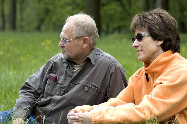Senior couple in a green grassfield - Photo, Image