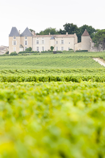 szőlő- és chateau d'yquem, régió sauternes, Franciaország - Fotó, kép