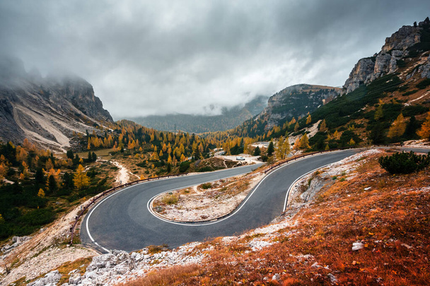 Winding mountains road leading to Three peaks of Lavaredo in Tre Cime di Lavaredo National Park in Dolomite Alps. Orange grass and lush larches forest around. Autumn in Dolomites, Italy - Photo, Image