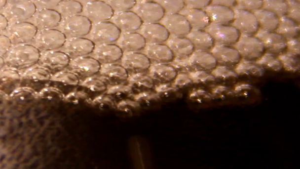 Bublinky šampaňského - Záběry, video