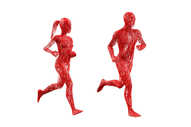 Two people woman man male female veins blood red tangled body movement running posture on white background. medical sports science of anatomy human body. Isolated with clipping path. 3D Illustration. - 写真・画像