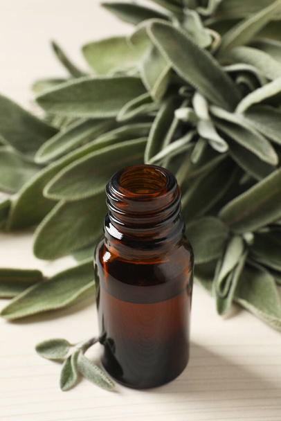 Bottle of essential sage oil and leaves on white wooden table - Foto, immagini