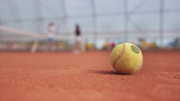 Tennis ball on the court and two women tennis players greeting each other on the background. Mid shot - Filmagem, Vídeo