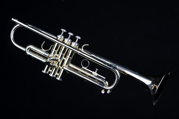 Trumpetti eristetty musta
 - Valokuva, kuva