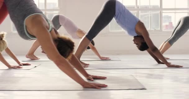4k-Videoaufnahmen einer Gruppe junger Frauen, die gemeinsam in einem Yoga-Studio trainieren. - Filmmaterial, Video