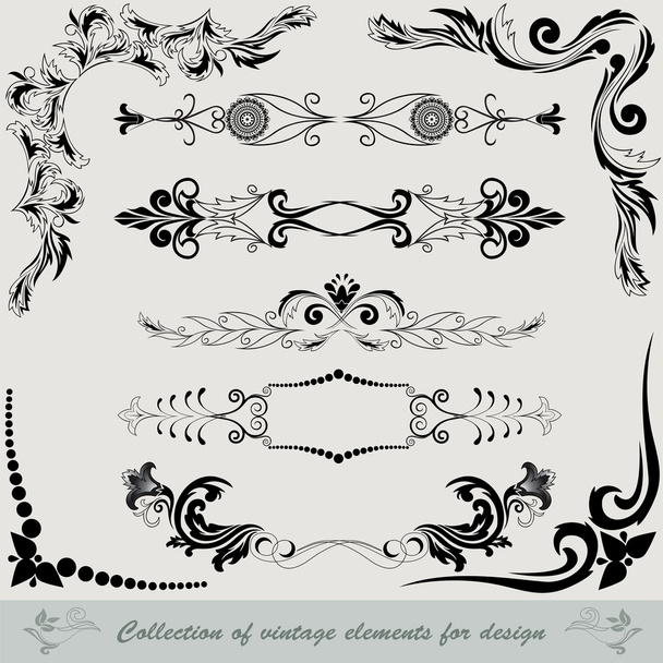 Collection of vintage elements - Vector, imagen