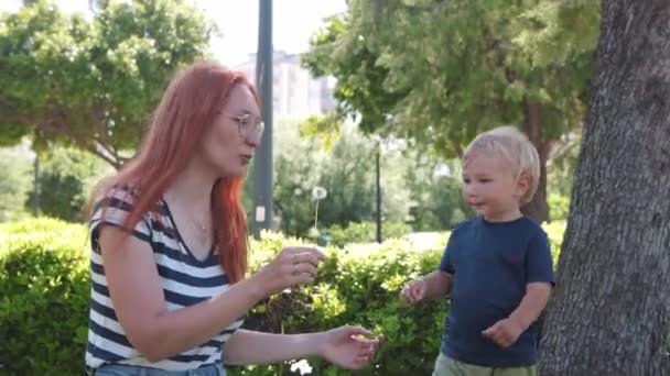 Family spend time in a green park - mother gives her son a dandelion. Mid shot - Záběry, video