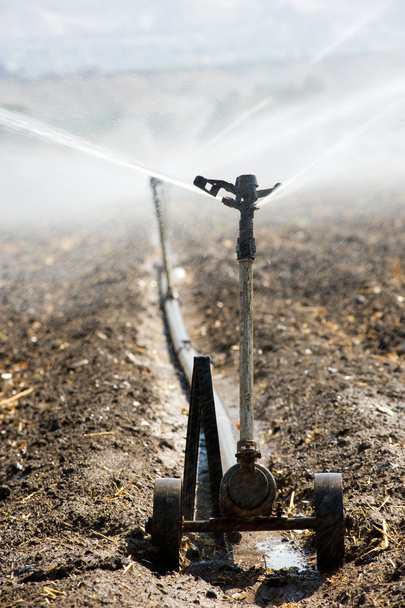 Irrigation in Israel - Photo, Image