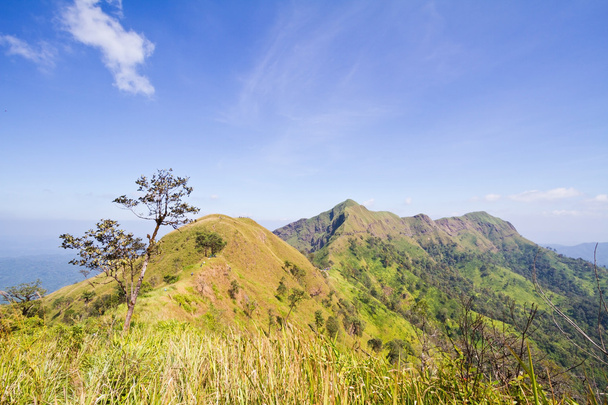 Mountain in Thailand beutiful scenic - Foto, imagen
