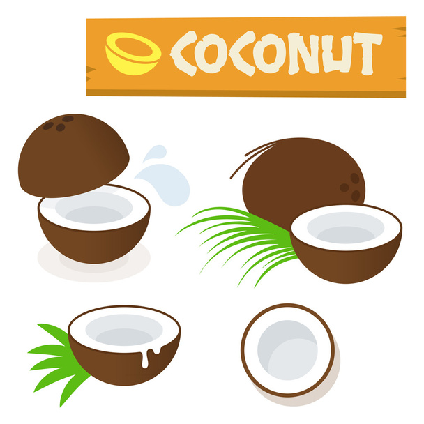 Coconut vector flat simple minimal icon illustration isolated on white - Vektor, obrázek