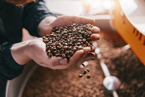 Master controlla la qualità dei chicchi di caffè torrefatto su piccola fabbrica. Primo piano. Foto di alta qualità - Foto, immagini