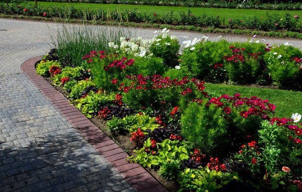 annual flowerbed in a formal park of rectangles in the lawn. perfect connected flower bed at the pedestrian zone with benches white and purple flowers very colorful, formal garden - Photo, Image
