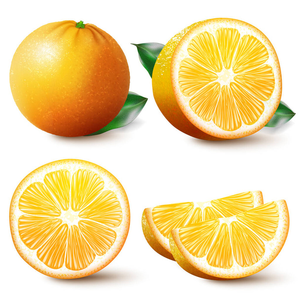Set of isolated colored orange, half, slice, circle and whole juicy fruit on white background. Realistic citrus collection. - Foto, imagen