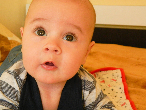 portrait of a baby boy. Baby concept photography - Φωτογραφία, εικόνα