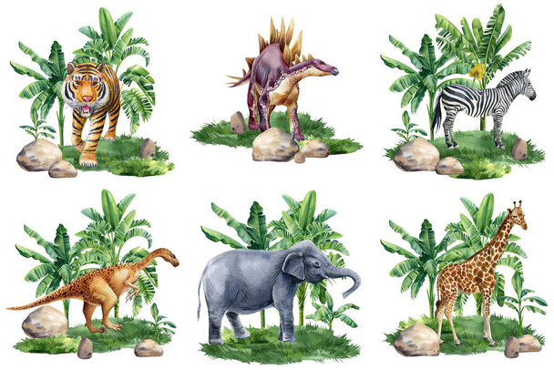 Tropical forest and tiger, elephant, zebra, giraffe and dinosaur. Watercolor Palm trees, jungle illustration. High quality illustration - Фото, изображение
