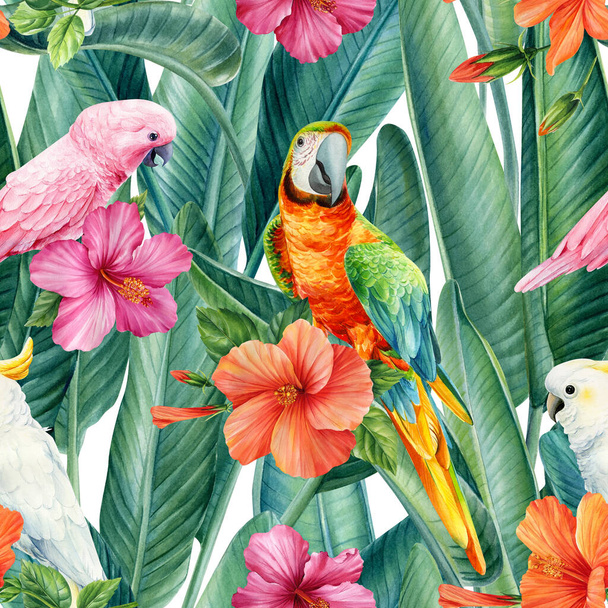 Palmové listy, tropické květiny a papoušek. Ilustrace akvarelů. Bezešvé vzory. Vysoce kvalitní ilustrace - Fotografie, Obrázek