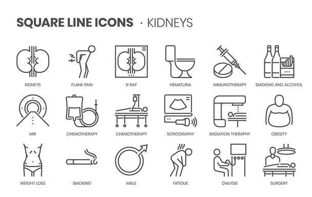 Kidneys related, pixel perfect, editable stroke, up scalable square line vector icon set.  - Vector, Image
