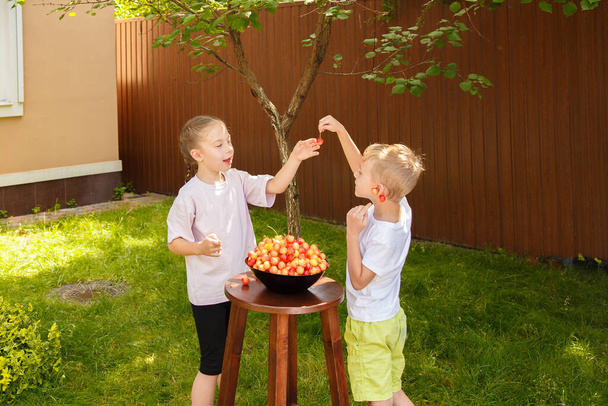 Ein Junge und ein Mädchen spielen im Garten mit Kirschen. Im Garten auf dem grünen Rasen spielen zwei Kinder im Alter von sechs Jahren mit rot-gelben Kirschen. - Foto, Bild