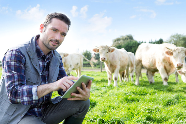 Young attractive farmer using tablet in a field - Фото, зображення