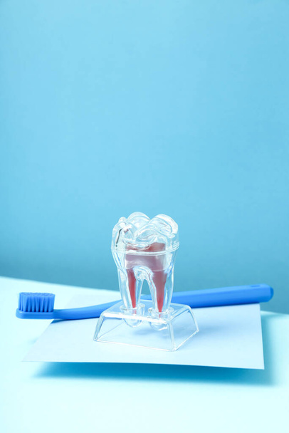 Koncepcja opieki stomatologicznej, miejsce na tekst - Zdjęcie, obraz