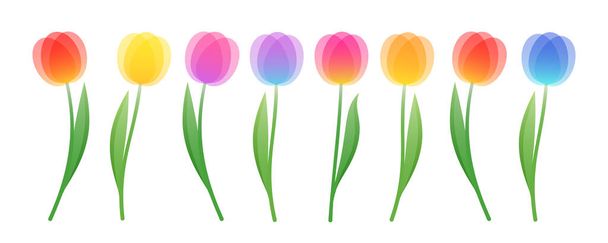 Zestaw barwnych stylizowanych tulipanów. Vector clipart dla projektów wiosennych i letnich. - Wektor, obraz