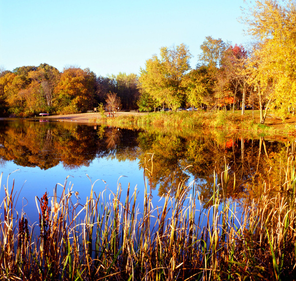 Озеро Аліса колір роздуми - Міннесота - Фото, зображення