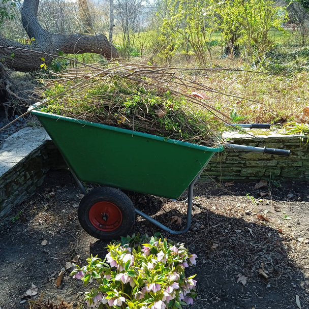 Gartenarbeit in einer Gärtnerei, Arbeit mit Pflanzen und Natur - Foto, Bild