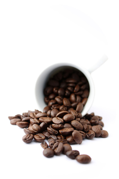 Coffee beans - Foto, Imagen