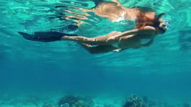 4k video footage of an unrecognizable woman snorkelling along among the coral reefs in Raja Ampat. - Metraje, vídeo