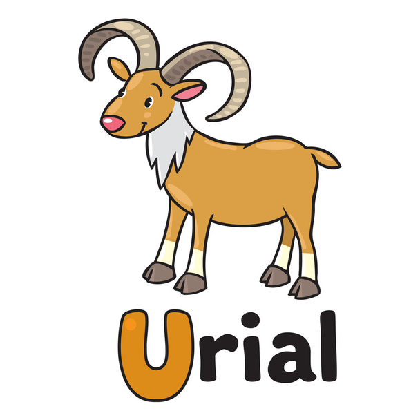 Little funny urial or ram, for ABC. Alphabet U - Vector, Image