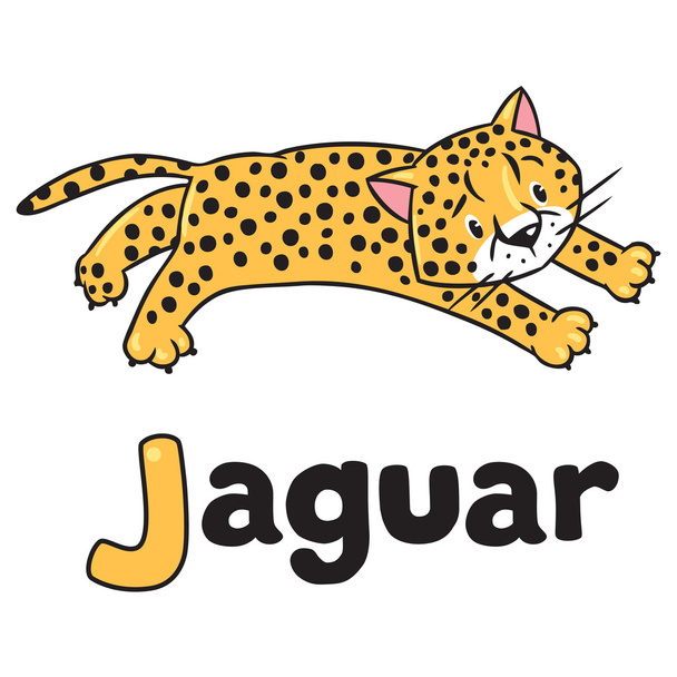 Pequeño guepardo o jaguar para ABC. Alfabeto J
 - Vector, Imagen