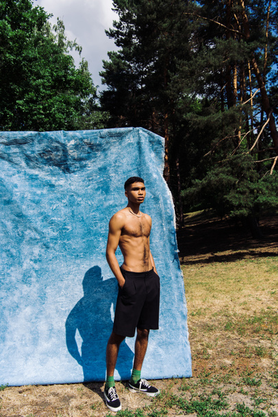 full length of shirtless african american man with hands in pockets of black shorts near blue cloth in park - Fotó, kép