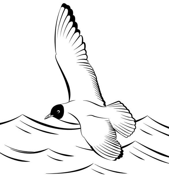 Чайка летит над морем  - Вектор,изображение