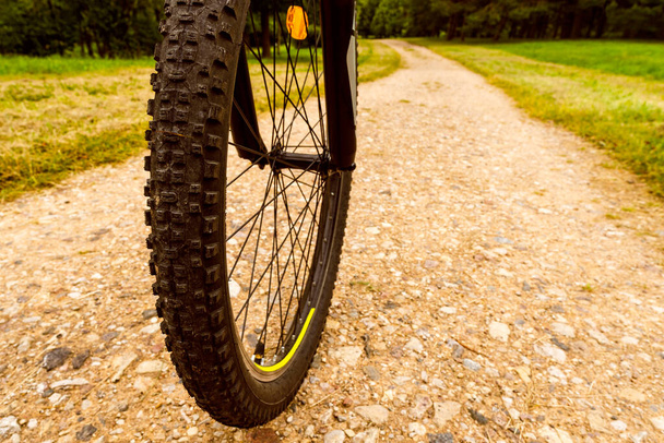 Concept photo of detail of bicycle wheel in forest dirty track - Foto, Imagen