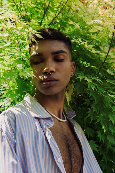 portrait of african american man with piercing near bush with green leaves - 写真・画像