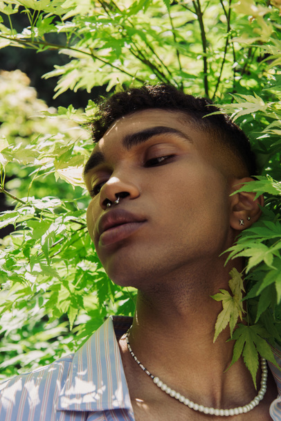 portait of african american man with piercing near leaves in park - Photo, image