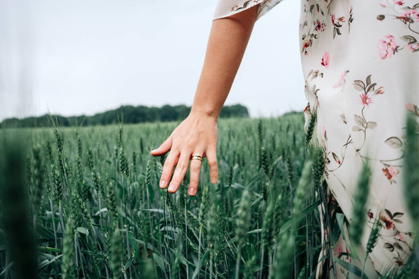 Kobieta z pola pszenicy. Młoda kobieta dotyka kolców na polu zbożowym. Zbiory, koncepcja rolnictwa ekologicznego - Zdjęcie, obraz
