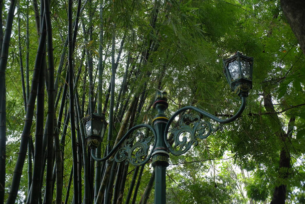 Soaring decorative garden lights are placed in a beautiful public park full of trees. - Фото, изображение