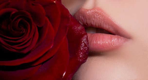 Female mouth with sexy red lips isolated closeup. Close up woman sensual lips with red lipstick and red rose. Passionate lip - 写真・画像