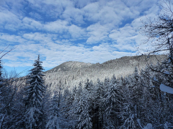 Χειμερινή πεζοπορία στο βουνό Seekarkreuz και Lengrieser καλύβα, Βαυαρία, Γερμανία - Φωτογραφία, εικόνα