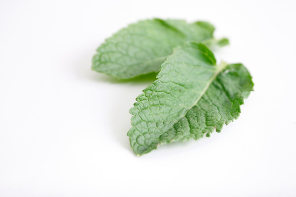 Mint leaves - Фото, зображення