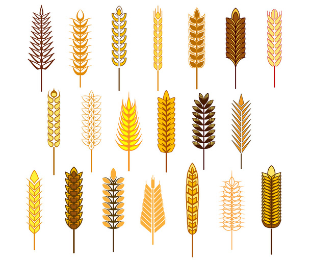 Orelhas de cereais e grãos ícones conjunto
 - Vetor, Imagem