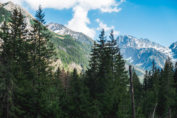 Landscape of the Tatras Mountains - Φωτογραφία, εικόνα
